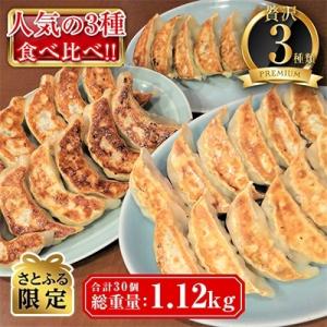 【さとふる限定】餃子専門店 宇都宮悟空 　 特製肉餃子&ジャンボ餃子セットにしそ餃子付