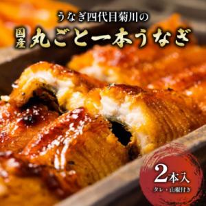 うなぎ四代目菊川の「丸ごと一本鰻」2本入
