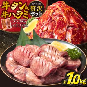 厚切り牛タン塩味500g・厚切り牛ハラミ500g各1P