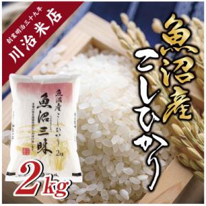 ふるさと納税 十日町市 【令和7年産】魚沼産コシ...の商品画像