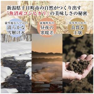 ふるさと納税 十日町市 【令和7年産】魚沼産コ...の詳細画像2