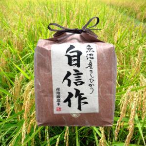 【令和7年産】魚沼産コシヒカリ自信作　2kg