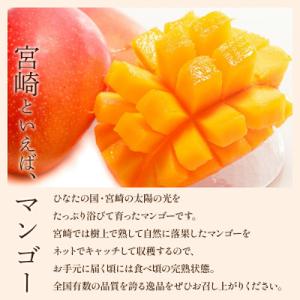 ふるさと納税 宮崎市 【先行受付】フルーツソム...の詳細画像1