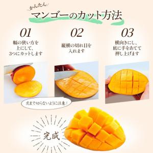 ふるさと納税 宮崎市 【先行受付】フルーツソム...の詳細画像2