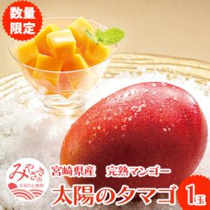 宮崎完熟マンゴー・太陽のタマゴ1玉【宮崎市】(R8年4月中旬以降順次発送)