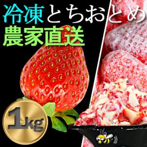 産地直送だから苺本来の美味しさ!BELL FARMの冷凍 いちご1kg 収穫当日冷凍の苺1kg