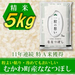 ふるさと納税 むかわ町 11年連続特A受賞米!北海道むかわ町産ななつぼし　精米5kg【S-15】