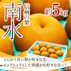 2026年秋!信州の梨【南水】約5kg　信州が生んだ甘い梨!