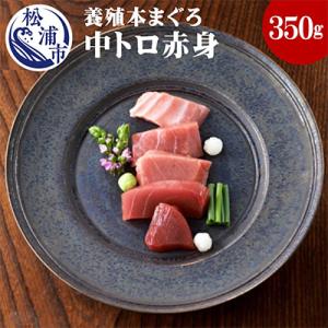 ふるさと納税 松浦市 鷹島産本まぐろ　中トロ赤身合わせて350g　まぐろ丼のタレ付き