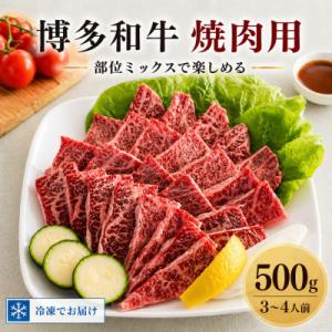 【博多和牛】焼肉用　(合計500g)