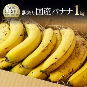 【訳あり】国産バナナ1kg