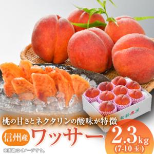 ふるさと納税 中野市 信州産ワッサー2.3kg