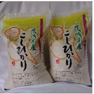 ふるさと納税 土浦市 9月発送【筑波山麓】土浦市産コシヒカリ玄米10kg　石抜き・色彩選別機処理済み