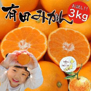 【先行受付】はじめまして 有田みかん 3kg　和歌山県湯浅町産　家庭用・味重視