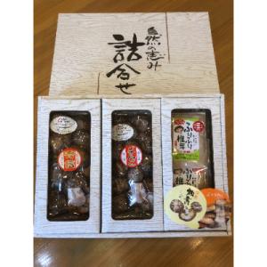 ふるさと納税 中津市 大分県産原木椎茸3種食べくらべギフトセットC 　どんこ80g 香信50g 焼き...