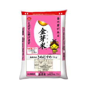 ふるさと納税 安来市 BG無洗米 金芽米きぬむす...の商品画像
