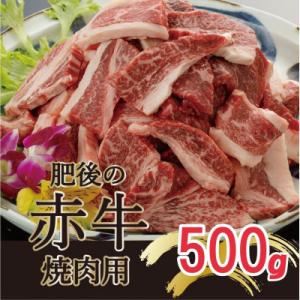 ふるさと納税 南阿蘇村 肥後の赤牛　焼肉用　500g(熊本県産和牛)【南阿蘇】