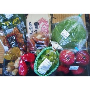 ふるさと納税 美郷町 【秋冬】旬の野菜等セット