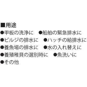 ふるさと納税 長岡京市 海水用モーターポンプ ...の詳細画像1