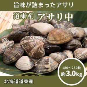 ふるさと納税 標津町 北海道道東産アサリ中(冷凍)　約3kg(180〜250粒)