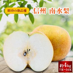 記事番号:33389/アイテムID:360996の画像