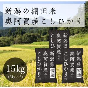 【令和8年産先行受付・2026年10月13日以降発送】新潟県奥阿賀産こしひかり15kg(5kg×3)