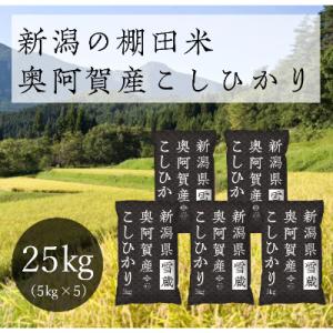 【令和8年産先行受付・2026年10月13日以降発送】新潟県奥阿賀産こしひかり25kg(5kg×5)