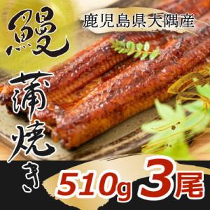 大隅特産うなぎ蒲焼3尾(510g)1387