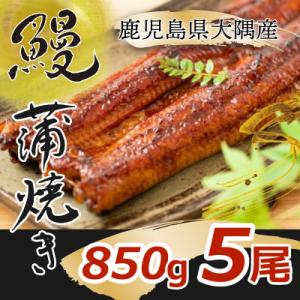 大隅特産うなぎ蒲焼5尾(850g)1389
