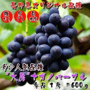 厳選!濃厚大房ナガノパープル　秀品　1房(約600g)