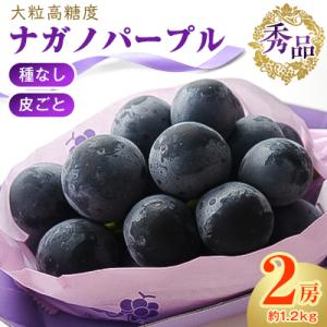 厳選!濃厚大房ナガノパープル　秀品　2房(約1.2kg)