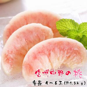 ふるさと納税 中野市 厳選!信州中野の桃　秀品　4〜6玉(約1.5kg入)