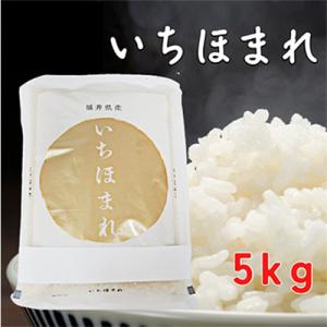 いちほまれ5キロ(令和7年産)　福井の新ブランド米