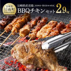 ふるさと納税 川南町 BBQチキンセット(宮崎県産若鶏骨付きももと8種の焼き鳥)