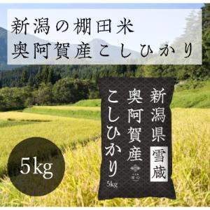 ふるさと納税 阿賀町 【令和6年産先行受付・2024年10月10日以降発送】新潟県奥阿賀産こしひかり5kg