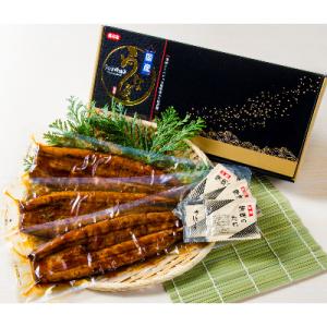 ふるさと納税 出水市 鹿児島県産うなぎ蒲焼3尾セット