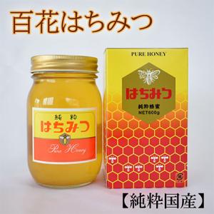 ふるさと納税 印南町 【純粋国産】和歌山県産百花はちみつ約600g(印南町)