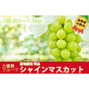 ふるさと納税 中野市 長野県中野市産 シャインマスカット「秀品」2房　化粧箱入り