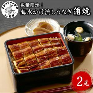 数量限定!海水かけ流しうなぎ蒲焼2尾