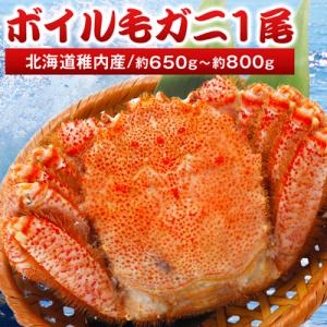 ふるさと納税 稚内市 【2024製造】稚内産ボイル毛ガニ1尾(約650g〜約800g)