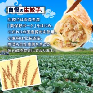 ふるさと納税 坂戸市 冷凍生餃子10パック(1...の詳細画像1