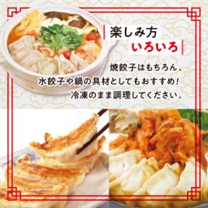 ふるさと納税 坂戸市 冷凍生餃子10パック(1...の詳細画像2