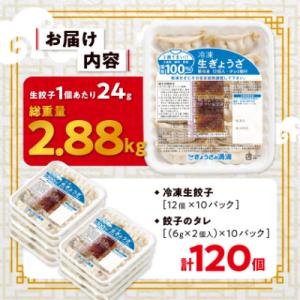 ふるさと納税 坂戸市 冷凍生餃子10パック(1...の詳細画像3