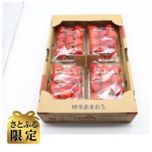 ふるさと納税 福津市 博多あまおう(2L〜L)4パック　約1120g　『2023年1月より順次』