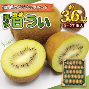 ふるさと納税 福津市 【2026年11〜12月出荷】福岡県ブランドキウイフルーツ「博多甘うぃ」約3....