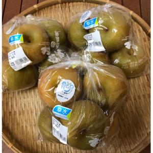 ふるさと納税 牛久市 みずほの村牛久店　中川さんの梨「幸水」