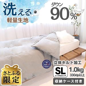 ふるさと納税 筑後市 抗菌ダウン率85%1.0kg本厚掛け羽毛布団シングル