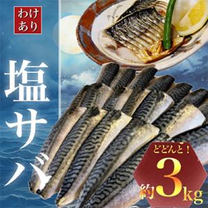 ふるさと納税 勝浦市 【訳あり】勝浦市の人気の海鮮お礼品 無添加 塩サバ 3kg｜さとふる