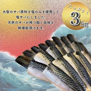 ふるさと納税 勝浦市 【訳あり】勝浦市の人気の...の詳細画像1