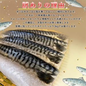 ふるさと納税 勝浦市 【訳あり】勝浦市の人気の...の詳細画像2